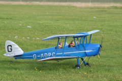 Tiger-Moth