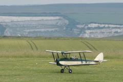 Tiger Moth