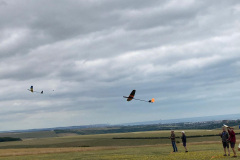 eGliding 7th July 2022 climb out