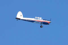 Chipmunk-4