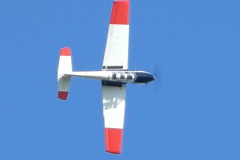 Chipmunk-6