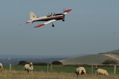 Grahame Pearson's Apache Aviation 81” Chipmunk. Photo by Jaime Brazier
