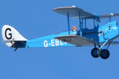 Cirrus-Moth-2
