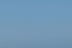 Cirrus-Moth-4