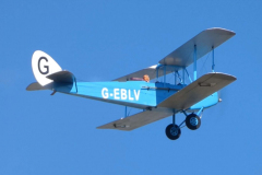 Cirrus-Moth