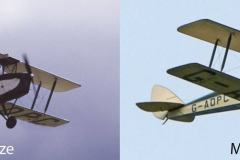 Full-size-and-model