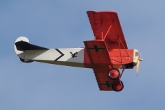 Grahame Pearson's Flair Fokker DVII. Photo by Jaime Brazier