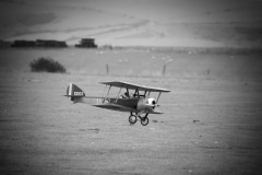 Grahame Pearson's Puppeteer. Photo by Jaime Brazier