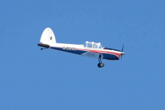 Grahame_Chipmunk_Laser_180_3