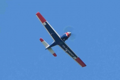 Grahame_Chipmunk_Laser_180_4