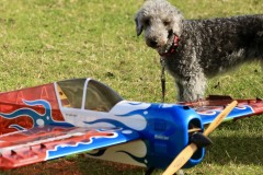 Grahame Pearson's Addiction X. Photo  by Jaime Brazier