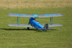 Grahame Pearson's Cirrus Moth. Photo by Jaime Brazier