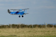 Grahame Pearson's Cirrus Moth. Photo by Jaime Brazier