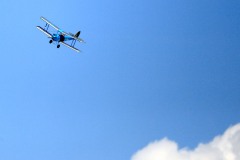 Grahame Pearson's Cirrus Moth. Photo by Jaime Brazier