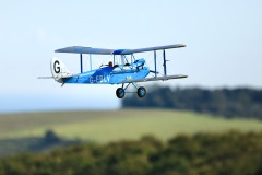 Grahame Pearson's Cirrus Moth. Photo by Jaime Brazier