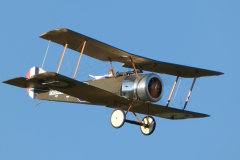 Grahames_14_scale_Pup_1