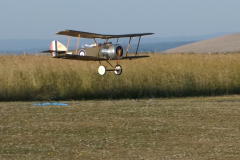 Grahames_14_scale_Pup_5