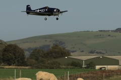 Grahame Pearson flying Jaime’s Hellcat. Photo by Jaime Brazier.