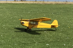 Mark’s Piper Cub down in one piece