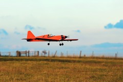 Jaime Brazier's Gangster. Photo by Grahame Pearson