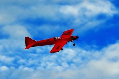 Jaime Brazier's Gangster. Photo by Grahame Pearson