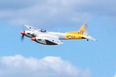 John-Ivory-Hornet-1