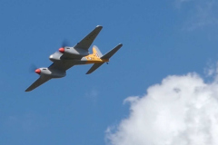 John-Ivory-Hornet-2