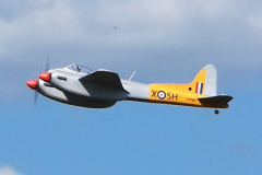John-Ivory-Hornet-3