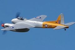 John-Ivory-Hornet-4