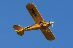 John Wase Cub - picture by Grahame Pearson