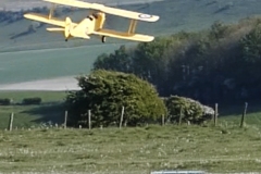 Les Crane’s Dynam Tiger Moth