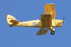 Les Crane’s Dynam Tiger Moth