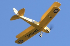 Les Crane’s Dynam Tiger Moth