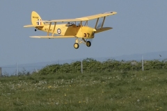 Les Crane’s Dynam Tiger Moth