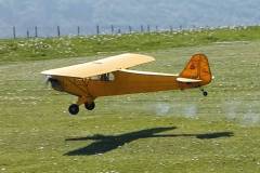 Mark-Vale-Cub-1