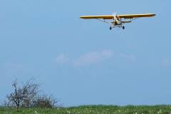 Mark-Vale-Cub-2