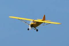 Mark-Vale-Cub-4