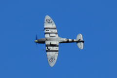 P1020454-cropped