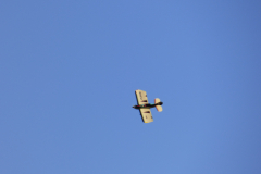 P1060390