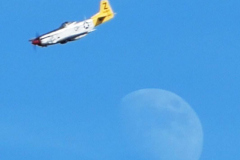 Screenshot-2020-07-30-at-07.04.35-moon