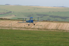 Tiger-Moth-2