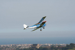 Tiger-Moth