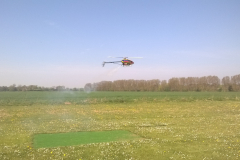 A 700 flybarless heli