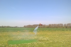 A 700 flybarless heli