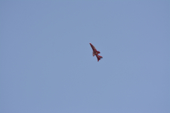 DSC_5726