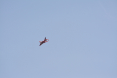 DSC_5728