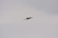 DSC_5925